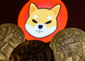 What-is-Shiba-Inu