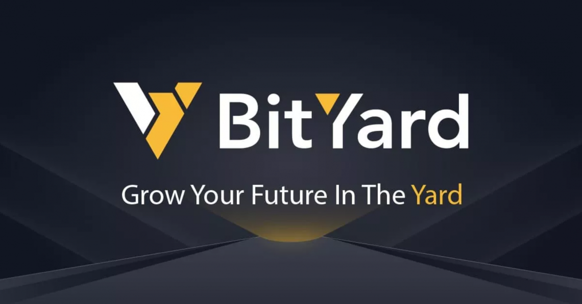 bityard-review