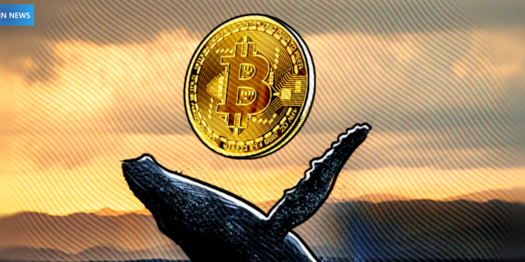 Largest-Bitcoin-Whale-Purchased-927-BTC