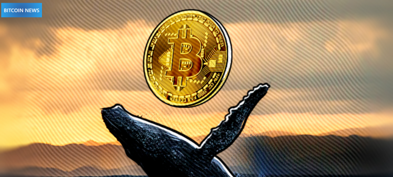 Largest-Bitcoin-Whale-Purchased-927-BTC