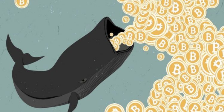 Tips-To-Win-Like-A-Crypto-Whale