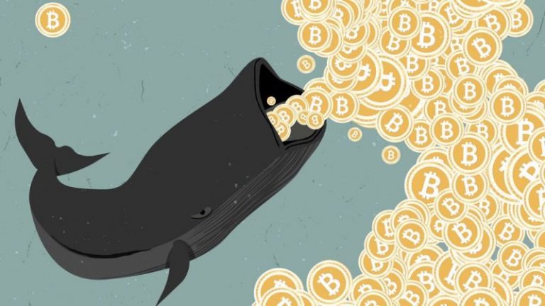 Tips-To-Win-Like-A-Crypto-Whale