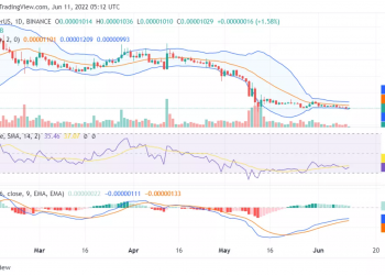 shiba-inu-on-the-verge-of-losing-0-000010-key-indicators-to-watch