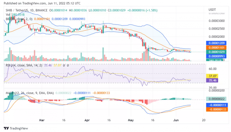 shiba-inu-on-the-verge-of-losing-0-000010-key-indicators-to-watch