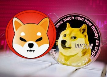 shiba-inu-va-dogecoin