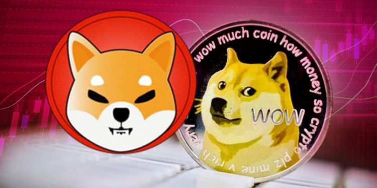 shiba-inu-va-dogecoin