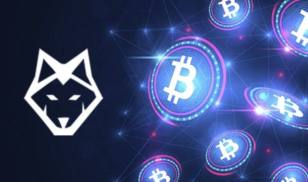 How to Make Money with Wolf.Bet Cashback