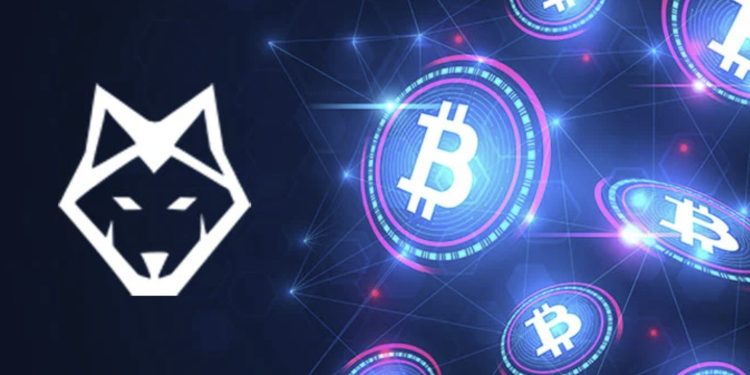 How to Make Money with Wolf.Bet Cashback